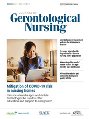老年护理杂志